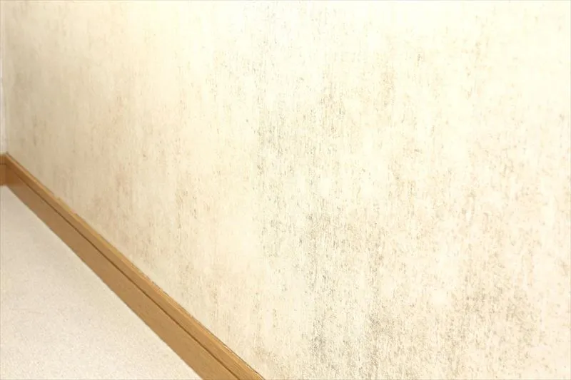 壁紙にカビが生える原因とは